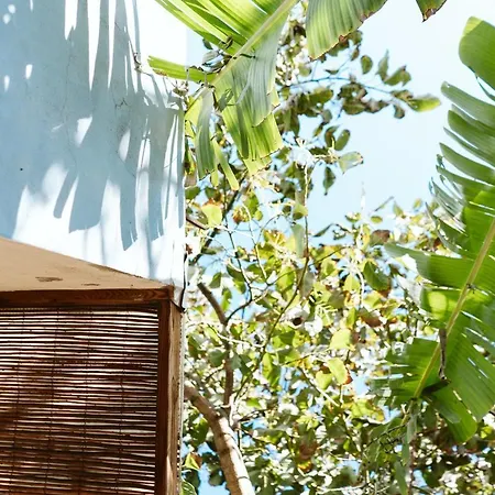 Tortuga Blue House In Banana Plantation * Arucas